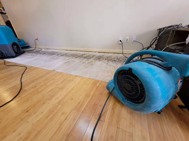 Professional Structural Drying technician working in Bentleyville, PA